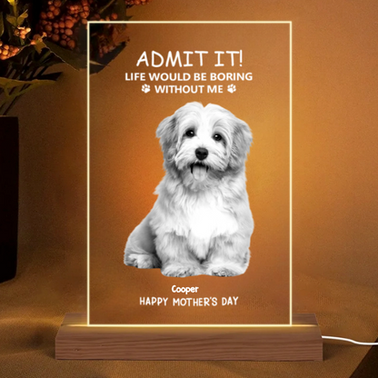 Personalized Glass Whiskey Cup – Mother’s Day Special Gift for Pet Lovers